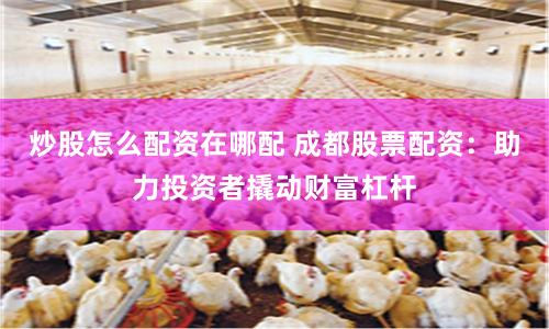 炒股怎么配资在哪配 成都股票配资:助力投资者撬动财富杠杆