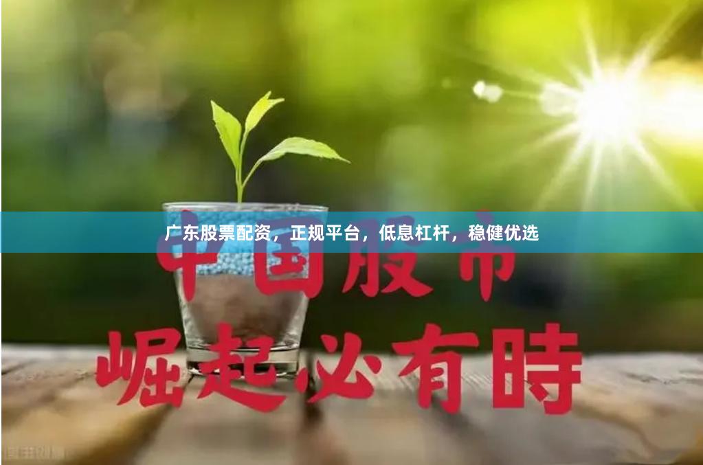 广东股票配资，正规平台，低息杠杆，稳健优选