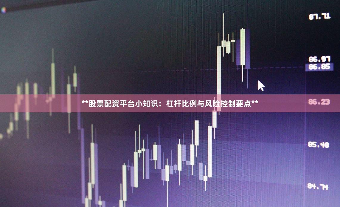 **股票配资平台小知识：杠杆比例与风险控制要点**