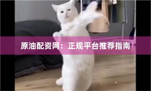 原油配资网:正规平台推荐指南